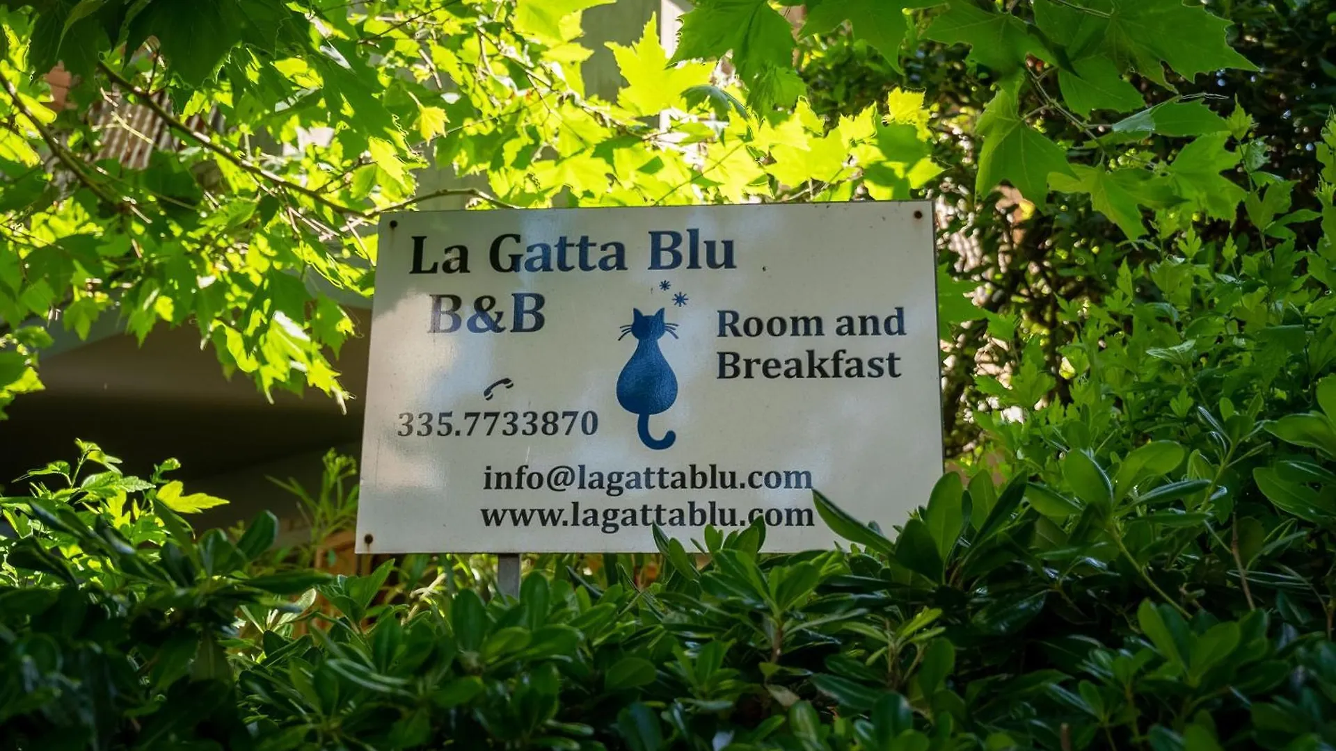 ベッド・アンド・ブレックファスト B&B La Gatta Blu カットーリカ